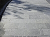 dpp_10420