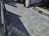 dpp_10369