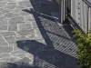 dpp_10388